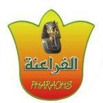 WhatsApp Image 2025-11-04 at 5.21.55 PM (1)