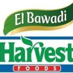 شركة هارفست